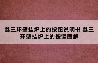 鑫三环壁挂炉上的按钮说明书 鑫三环壁挂炉上的按键图解